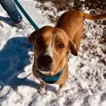 Thumbnail photo of LuLu #2