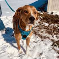 Thumbnail photo of LuLu #3