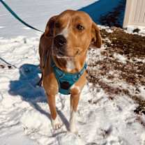 Thumbnail photo of LuLu #4