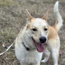 Thumbnail photo of Gator #3