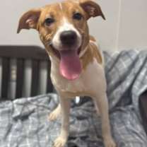 Thumbnail photo of Cardi Luna #1