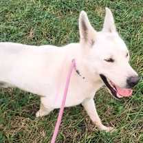 Thumbnail photo of Ghost #1