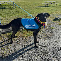 Thumbnail photo of Velma #4