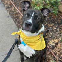 Thumbnail photo of Jetson #1