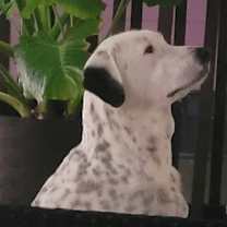 Thumbnail photo of Bella Rae #1