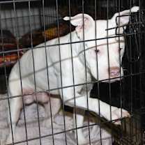 Thumbnail photo of Pablo (Photos 2/21/2025) #3