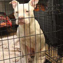 Thumbnail photo of Pablo (Photos 2/21/2025) #4