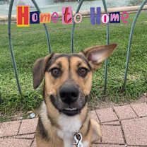 Thumbnail photo of Ava Grace #1