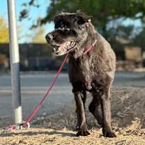 Thumbnail photo of AUNT BO #2