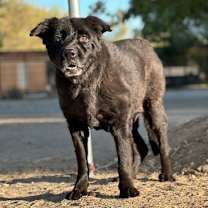 Thumbnail photo of AUNT BO #1