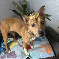 Thumbnail photo of Cassidy Katie #3