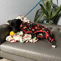 Thumbnail photo of Edison Everly #4