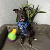 Thumbnail photo of Emmett Everly #1