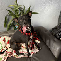 Thumbnail photo of Emmett Everly #2