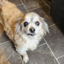 Thumbnail photo of Markie #1