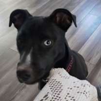 Thumbnail photo of Keira Monroe #2