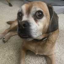 Thumbnail photo of Jax #2