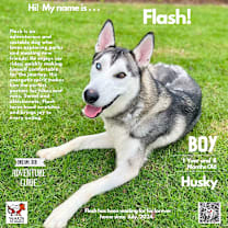 Thumbnail photo of Flash #1