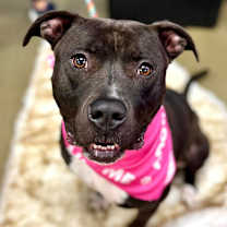 Thumbnail photo of Fernando #1