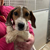 Thumbnail photo of Anna #3