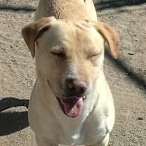 Thumbnail photo of Chip #1