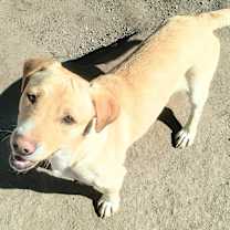 Thumbnail photo of Chip #3