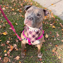 Thumbnail photo of Gucci #1