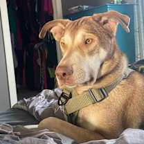 Thumbnail photo of McFly #4