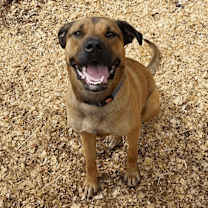 Thumbnail photo of Miranda #1