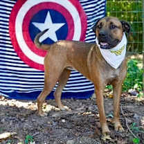 Thumbnail photo of Miranda #3