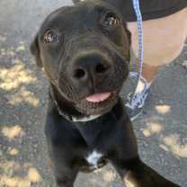 Thumbnail photo of BLOSSOM #2