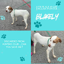 Thumbnail photo of Blakely #1