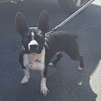 Thumbnail photo of Gucci #1