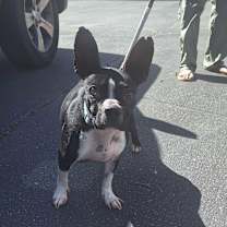 Thumbnail photo of Gucci #2