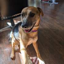 Thumbnail photo of Nami #3