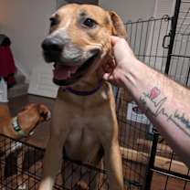 Thumbnail photo of Nami #4