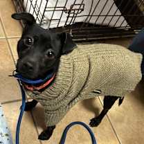 Thumbnail photo of Apple #2