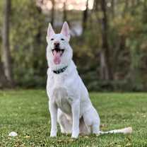 Thumbnail photo of Isla #3