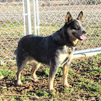 Thumbnail photo of WINDY #2