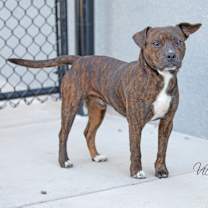 Thumbnail photo of Barrett #1