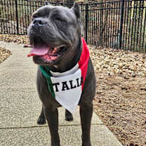 Thumbnail photo of Thor #3