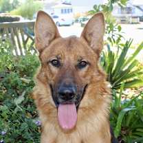 Thumbnail photo of Ryder #2