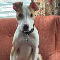 Thumbnail photo of Billy Boy #2