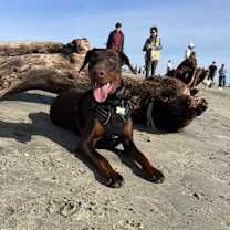 Thumbnail photo of Zara #1