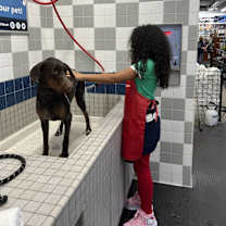 Thumbnail photo of Zara #3