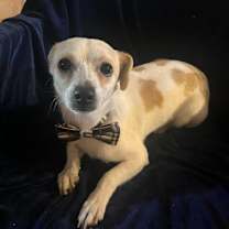 Thumbnail photo of Peter #2