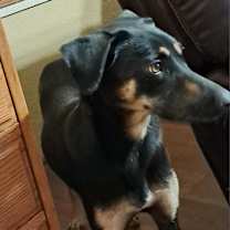 Thumbnail photo of Squirrel Jum* #2