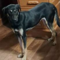 Thumbnail photo of Squirrel Jum* #4