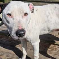 Thumbnail photo of Spot #2