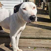 Thumbnail photo of Spot #3